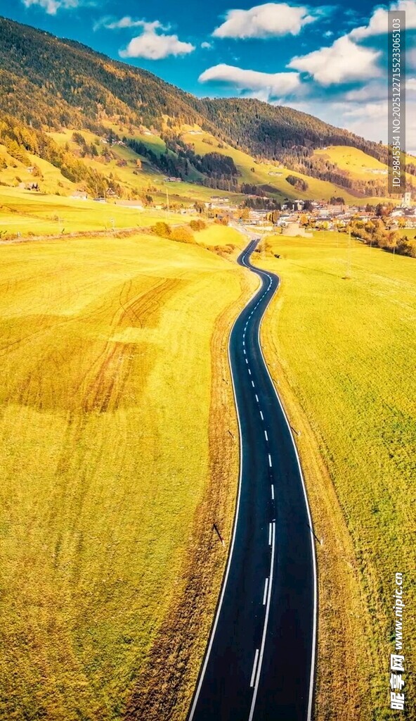 金色田野中的蜿蜒公路