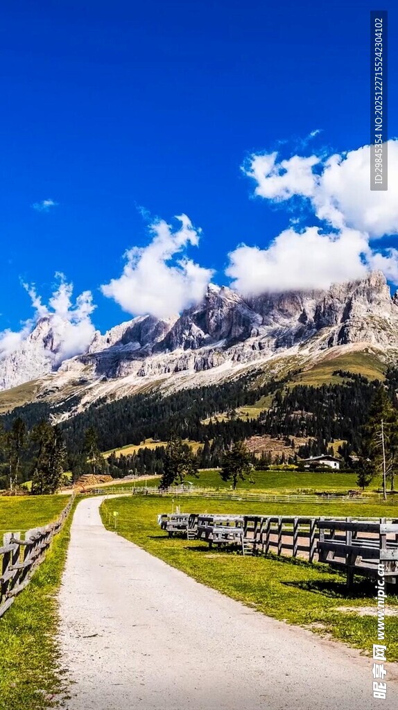 山间小路旁的美丽自然风光