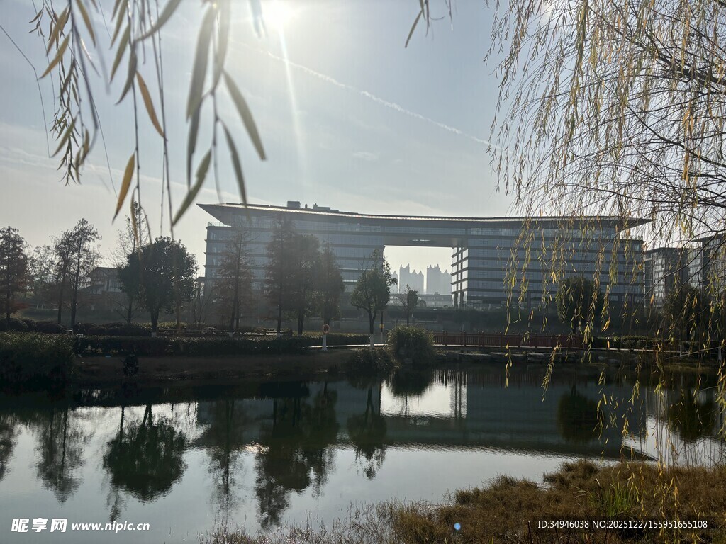 湖畔柳枝下的建筑倒影