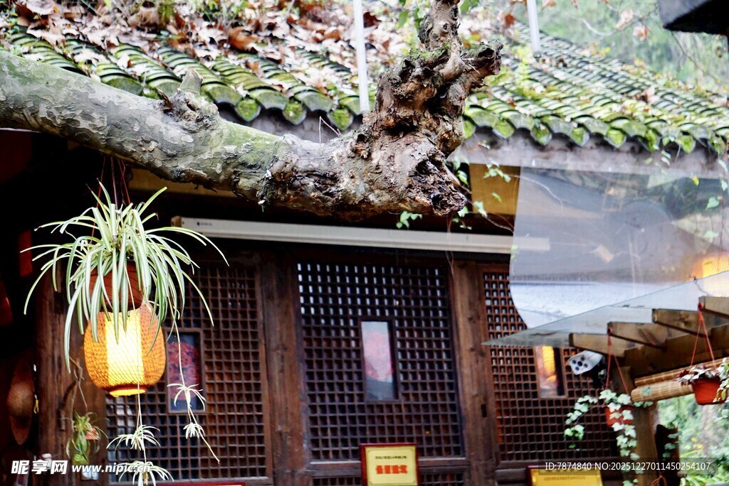 日式古朴小屋 静谧氛围感