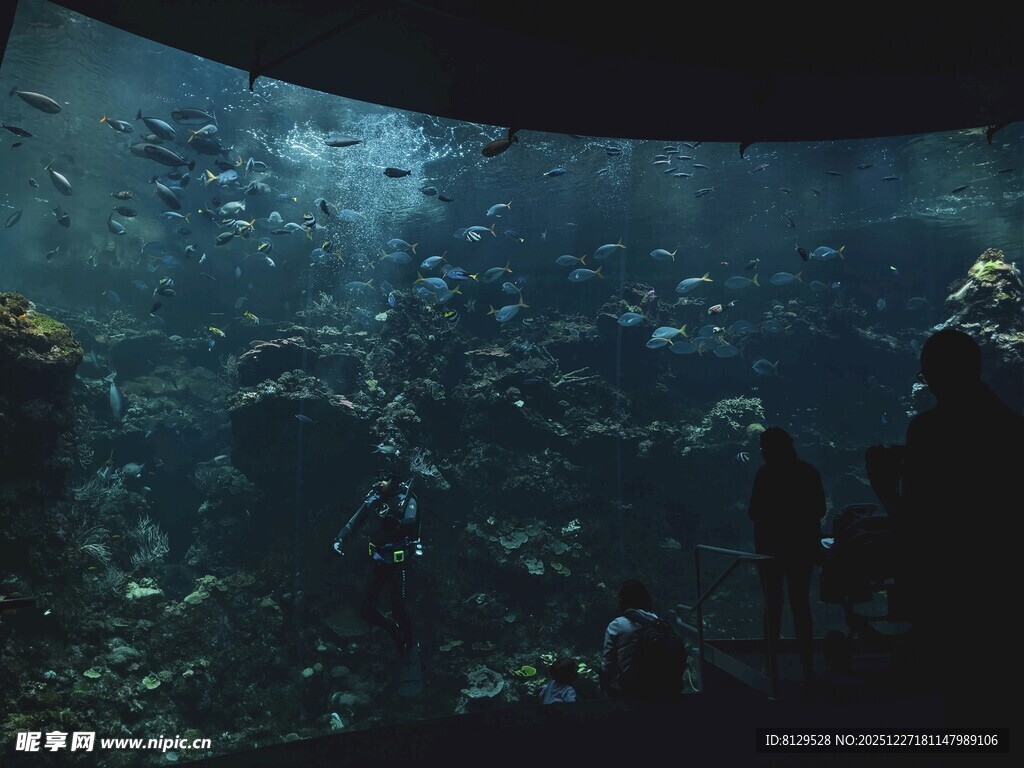 深海中的神秘水下景象