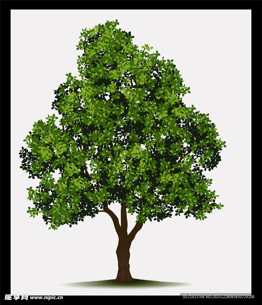 茂盛绿树生机盎然