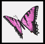 粉色蝴蝶图案设计