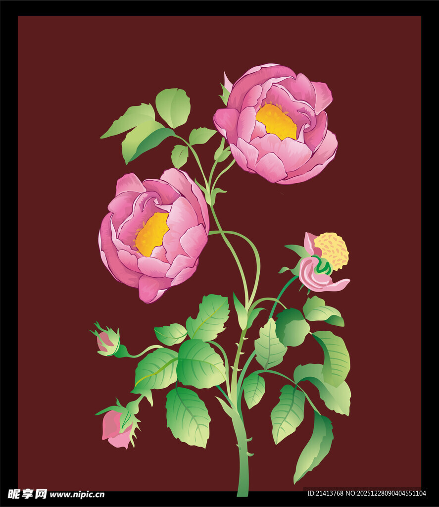 三朵绽放的娇艳粉色花卉