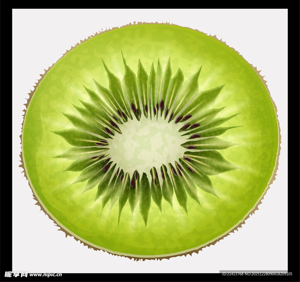 切开的猕猴桃特写