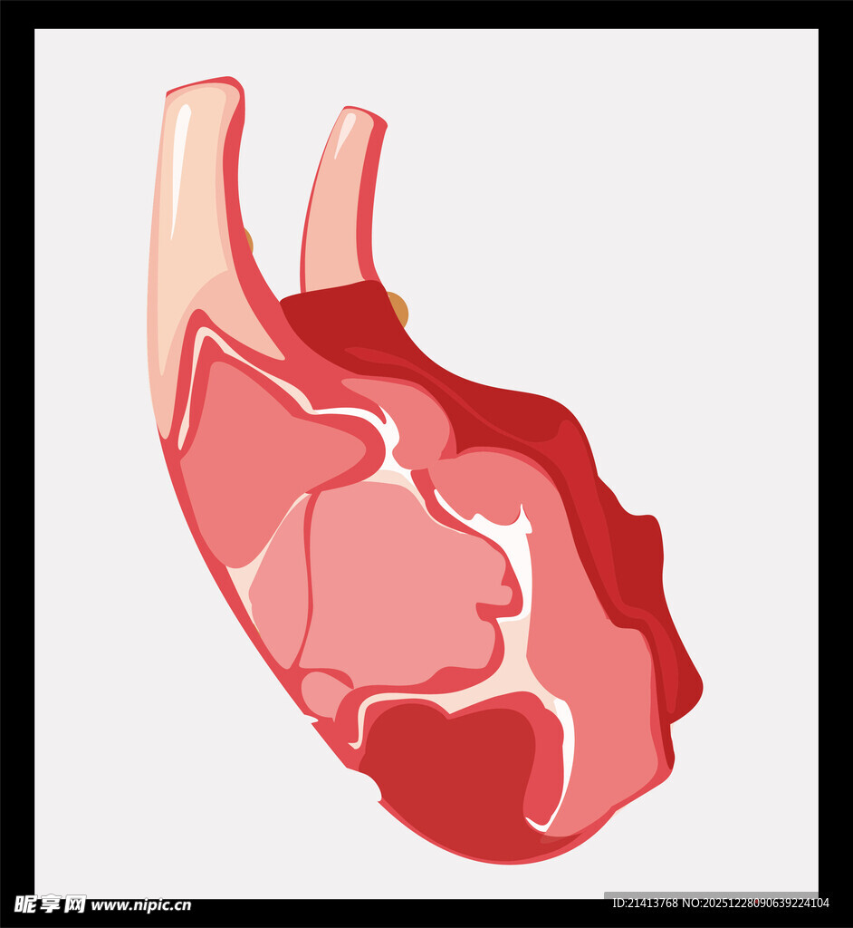 心脏解剖示意图