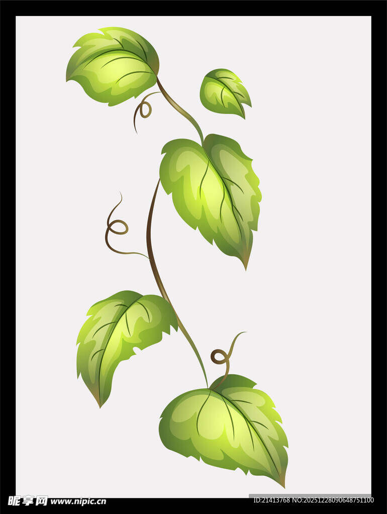 绿色藤蔓植物插画