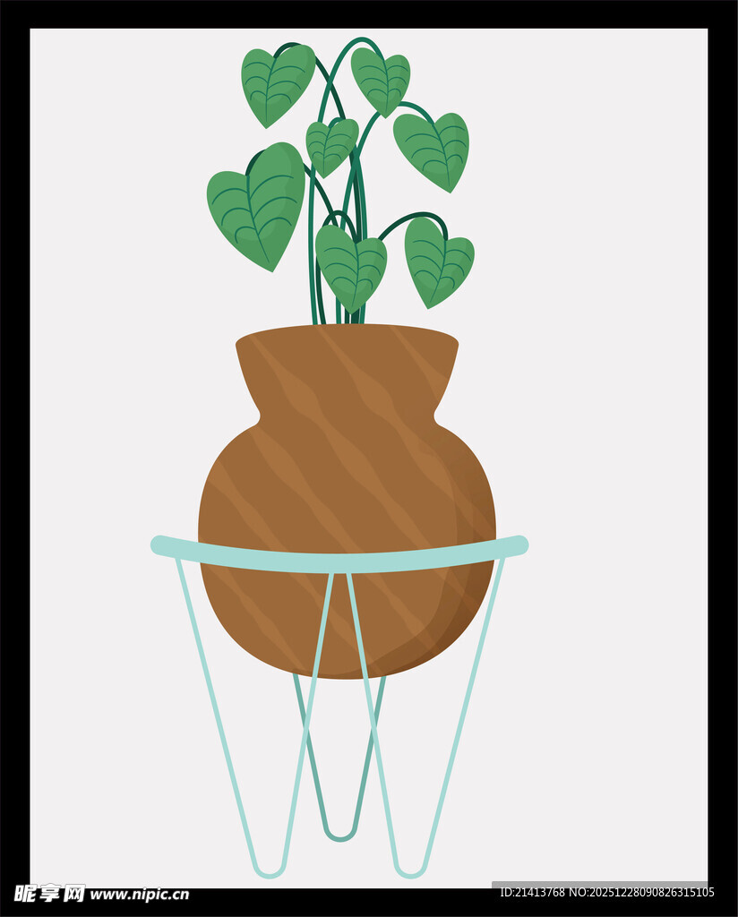 陶制花盆中的绿植