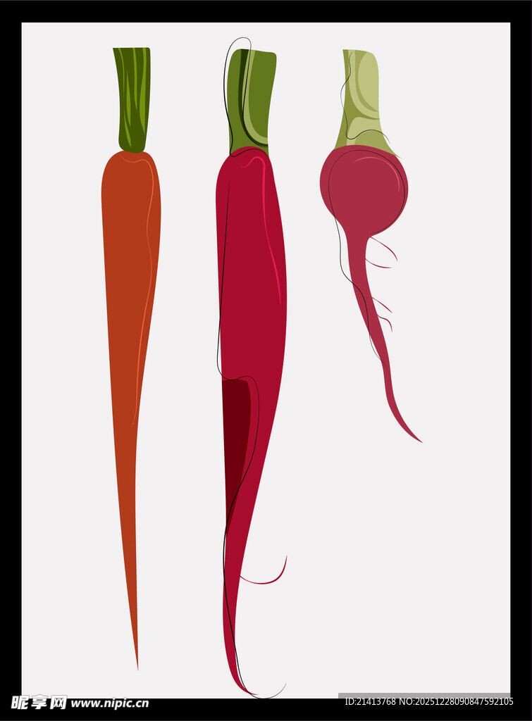 胡萝卜与萝卜插画