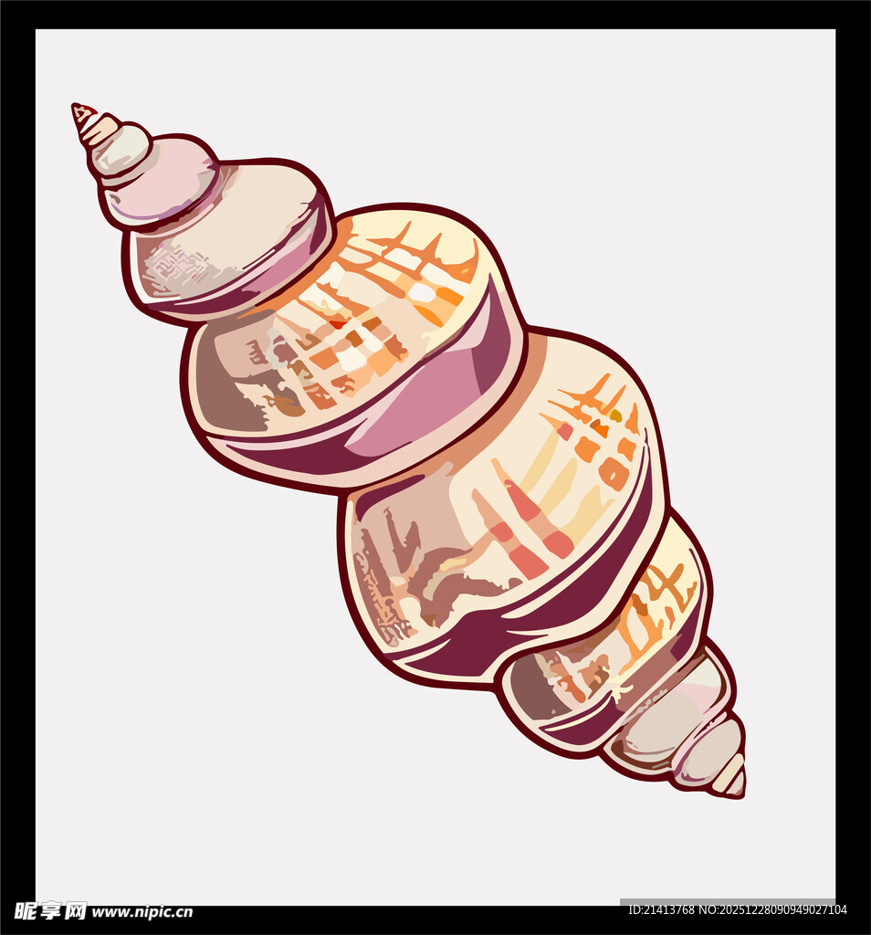 彩色螺旋贝壳插画