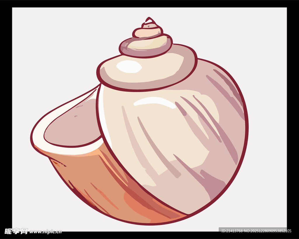 卡通风格的精美贝壳图案