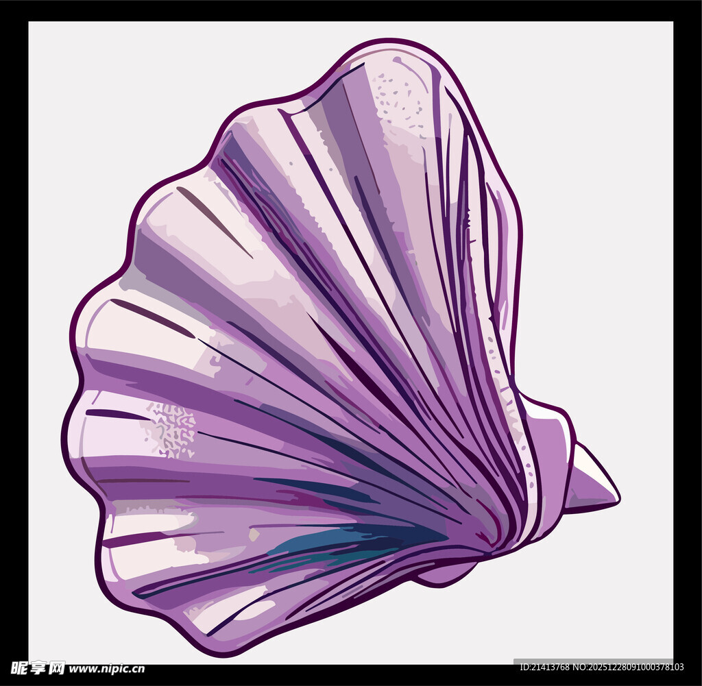 紫色扇贝插画
