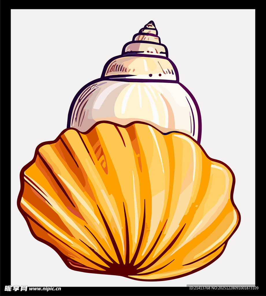 多彩贝壳插画