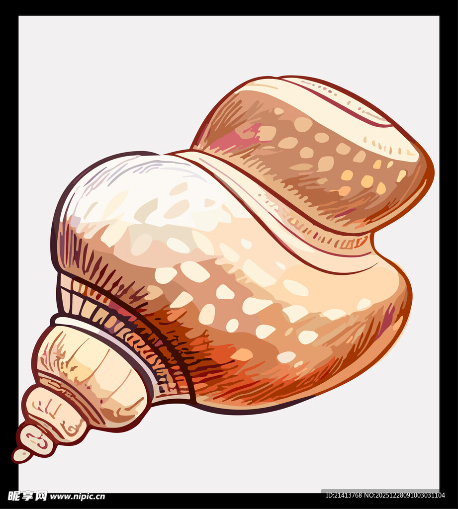 手绘精美海螺图案