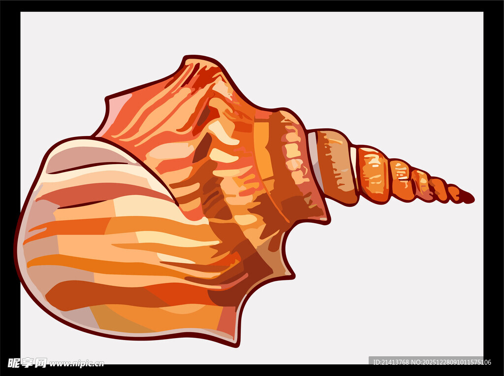 橙色条纹海螺插画