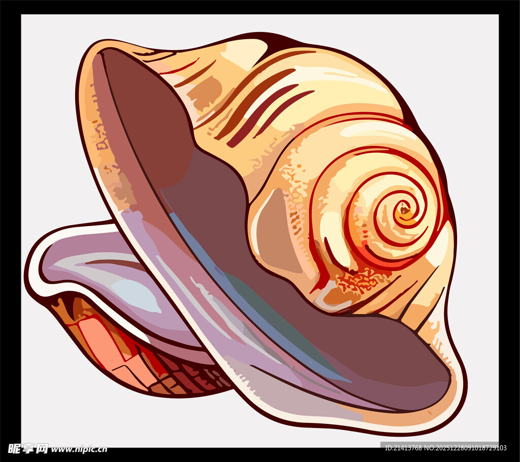 彩色海螺插画