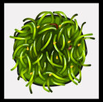 翠绿爽口腌黄瓜丝