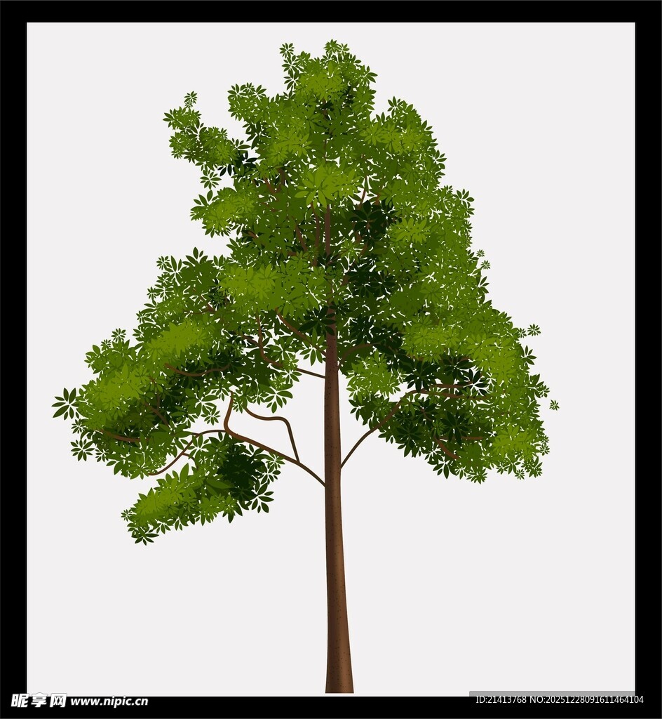 单棵绿树清新自然景象