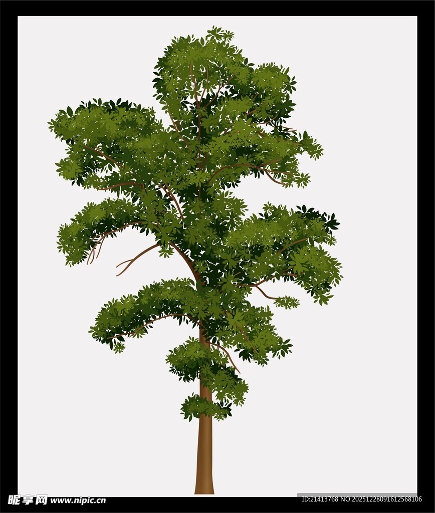 单棵绿树模型展示