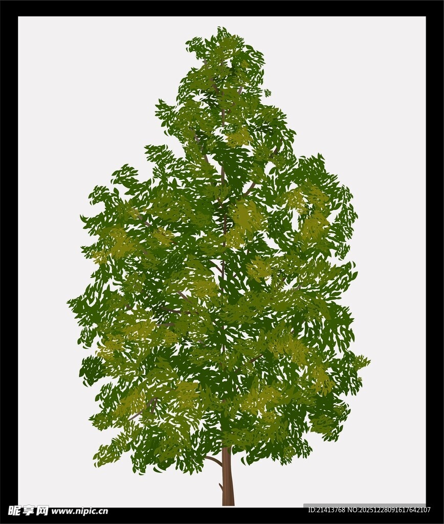 单棵绿树模型展示