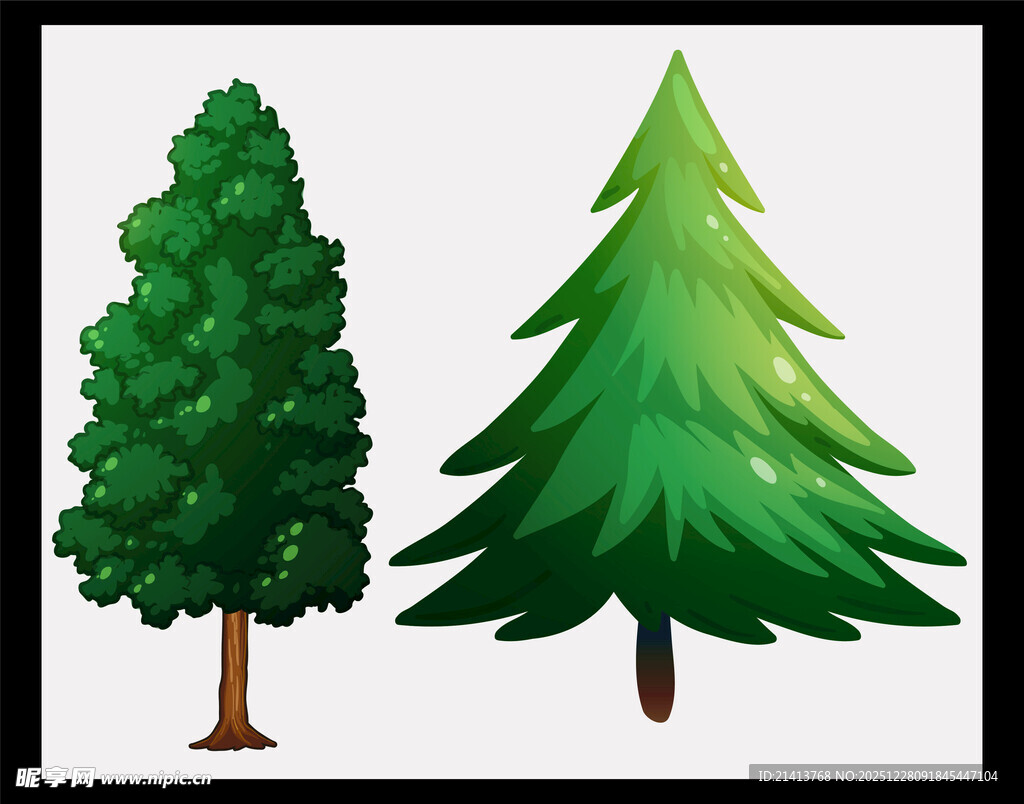 两棵不同形态的绿色树木