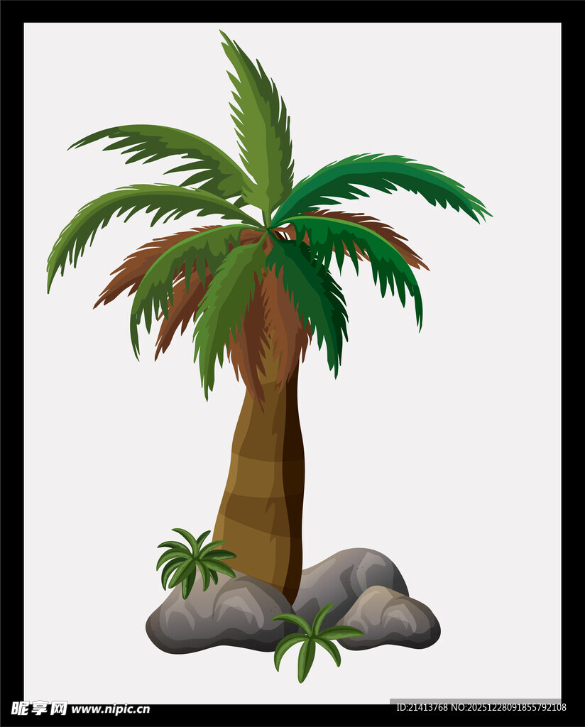 单棵棕榈树与石块插画