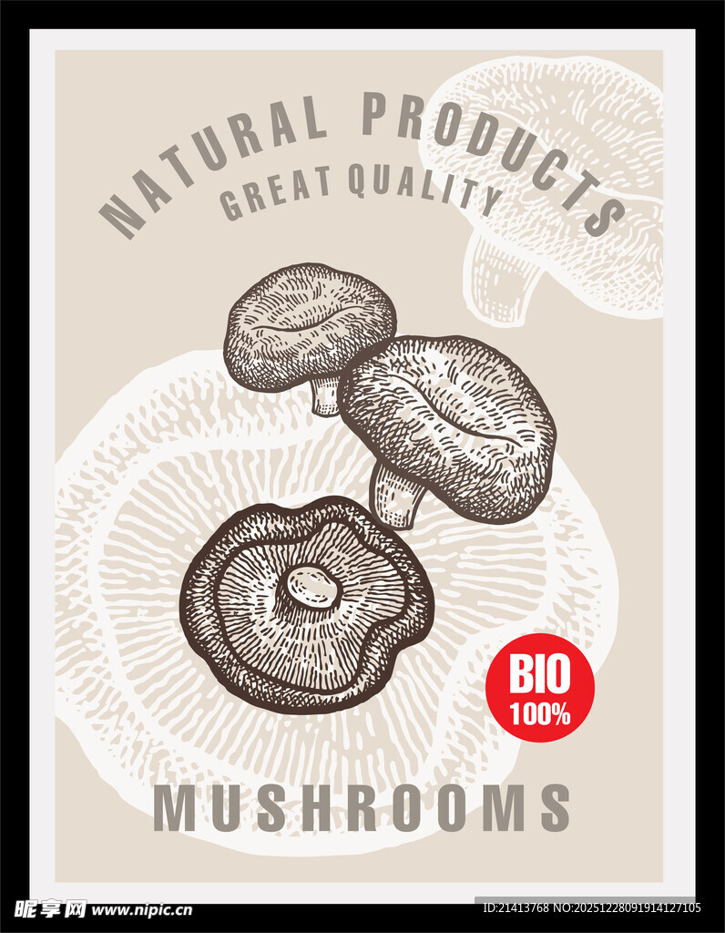 天然高品质蘑菇插画
