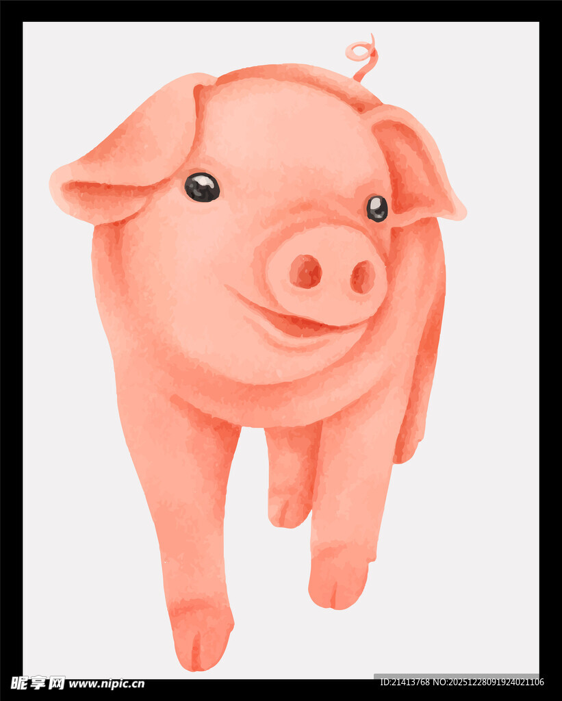 可爱粉色小猪插画