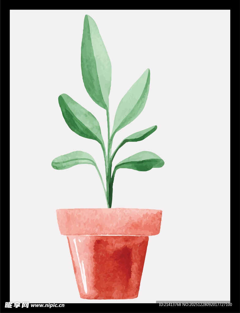 手绘盆栽植物插画