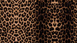 豹纹图案纹理特写
