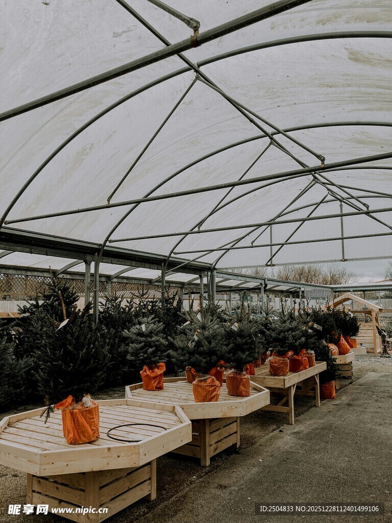 温室南瓜种植场景