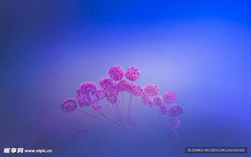 微观粉色细胞景象