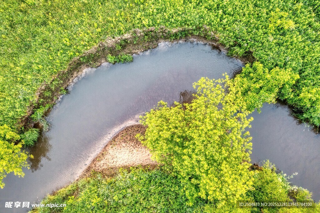 空中俯瞰蜿蜒河流与绿植