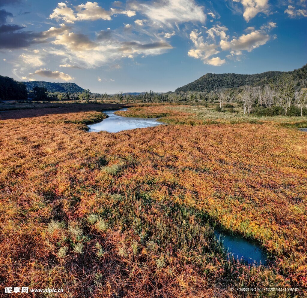 秋日原野湿地美丽风光