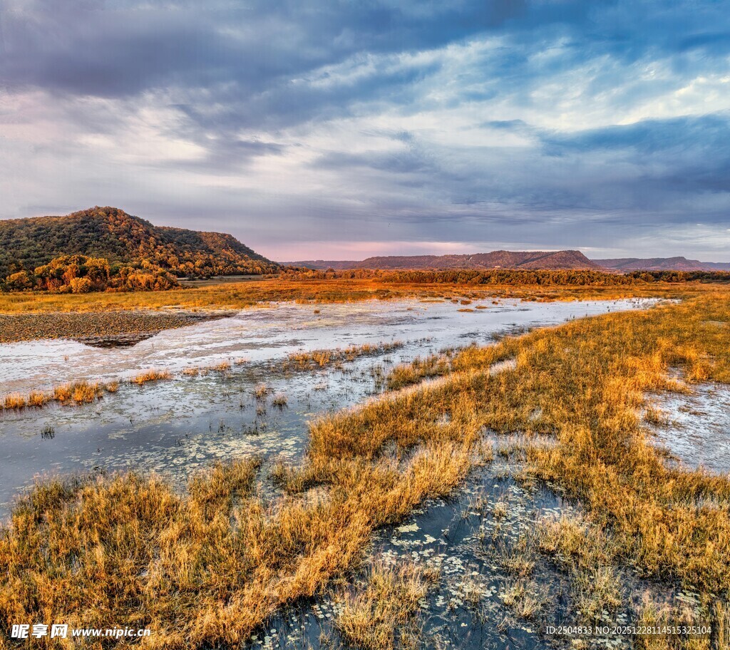 秋日原野湿地美丽风光