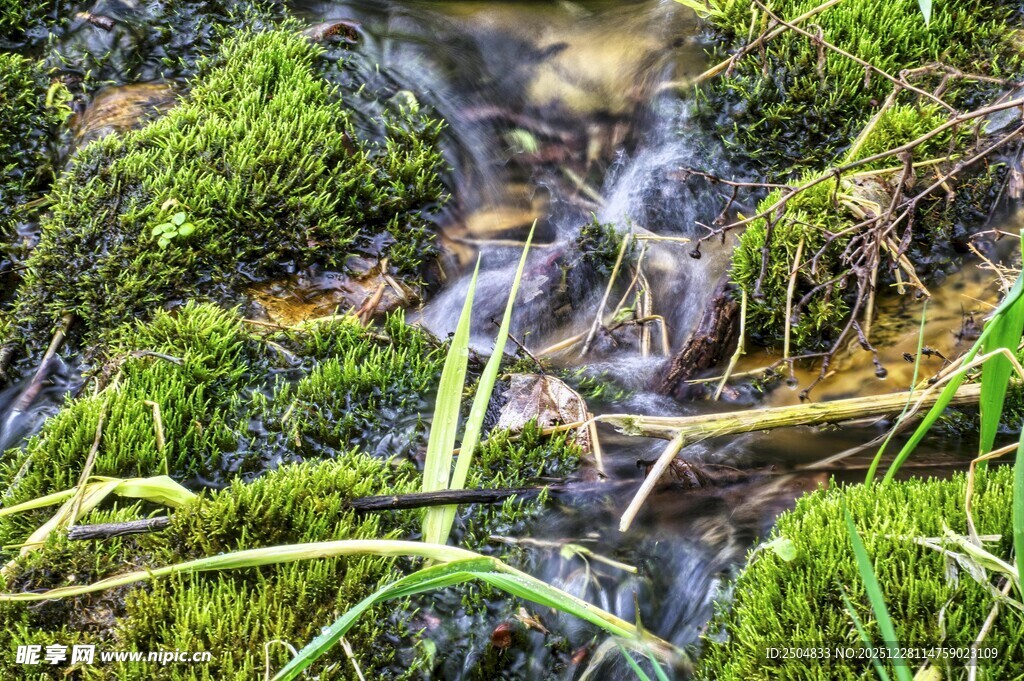 山间青苔小溪自然景致