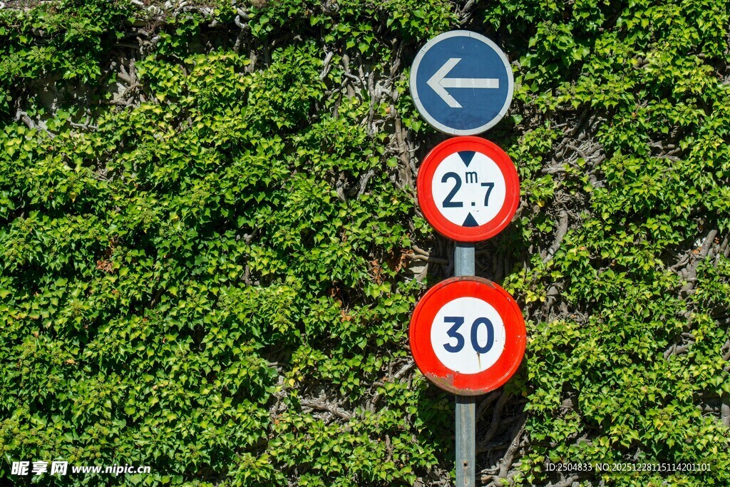 道路指示牌立于绿植旁