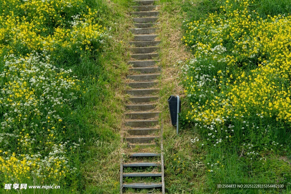 一人漫步于繁花簇拥的阶梯