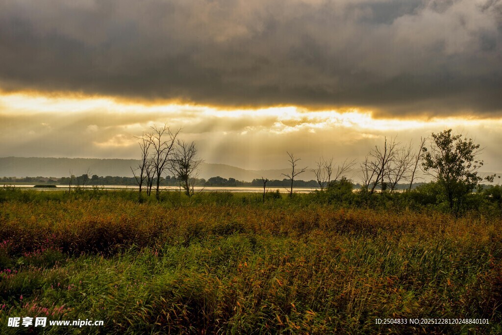 草原上的穿透云层的阳光