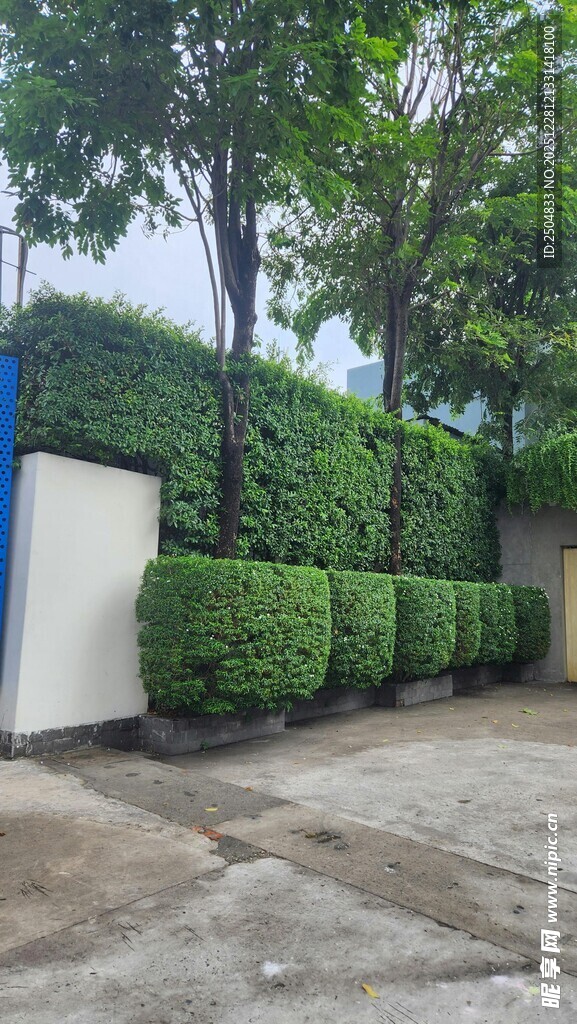 整齐绿植景观