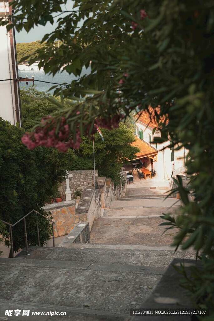 幽静绿植环绕的石阶小道