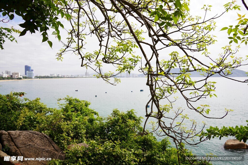 湖畔绿树葱茏的宁静景致