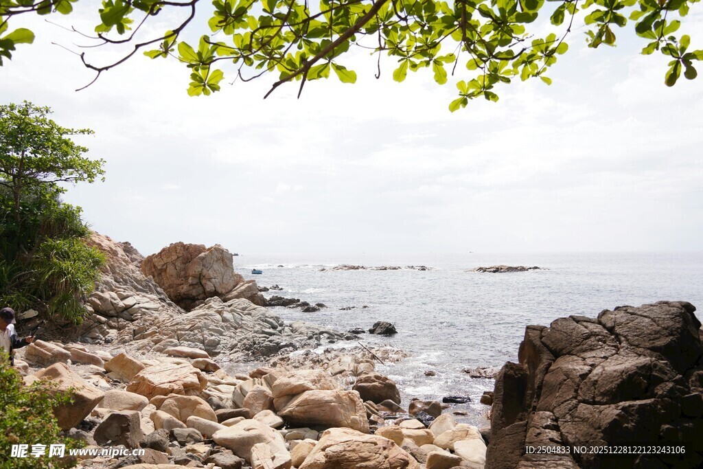 海岸边的岩石与葱郁绿树
