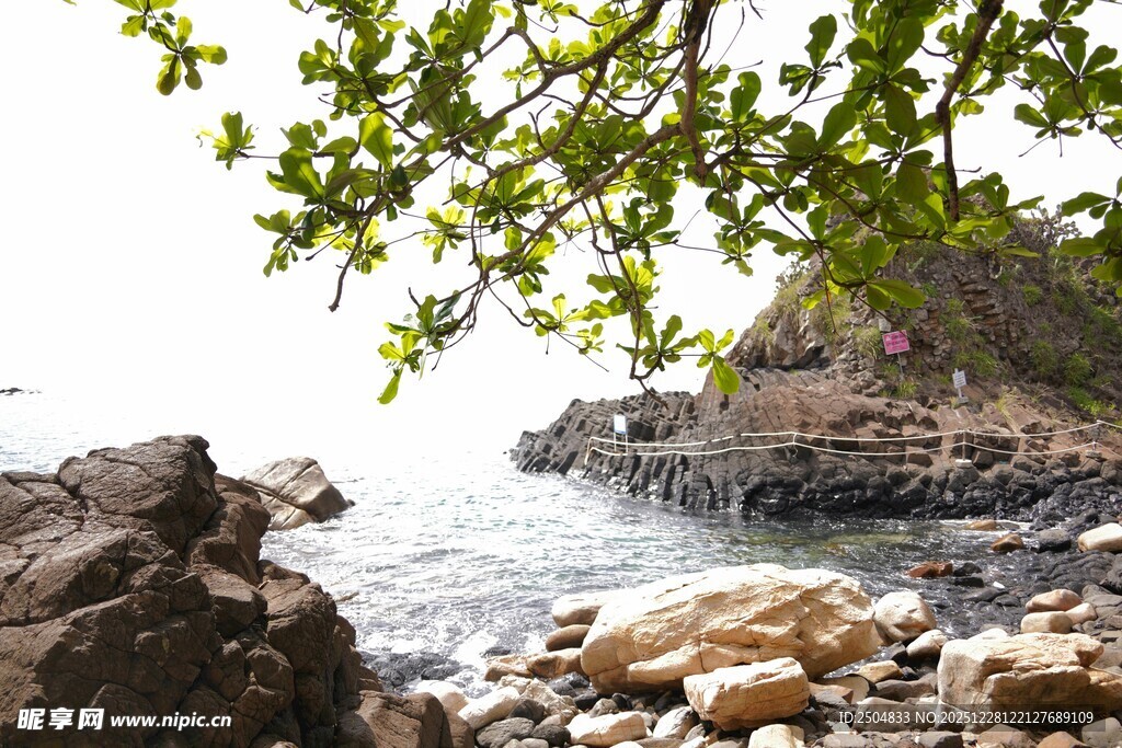 海边岩石与繁茂枝叶景致