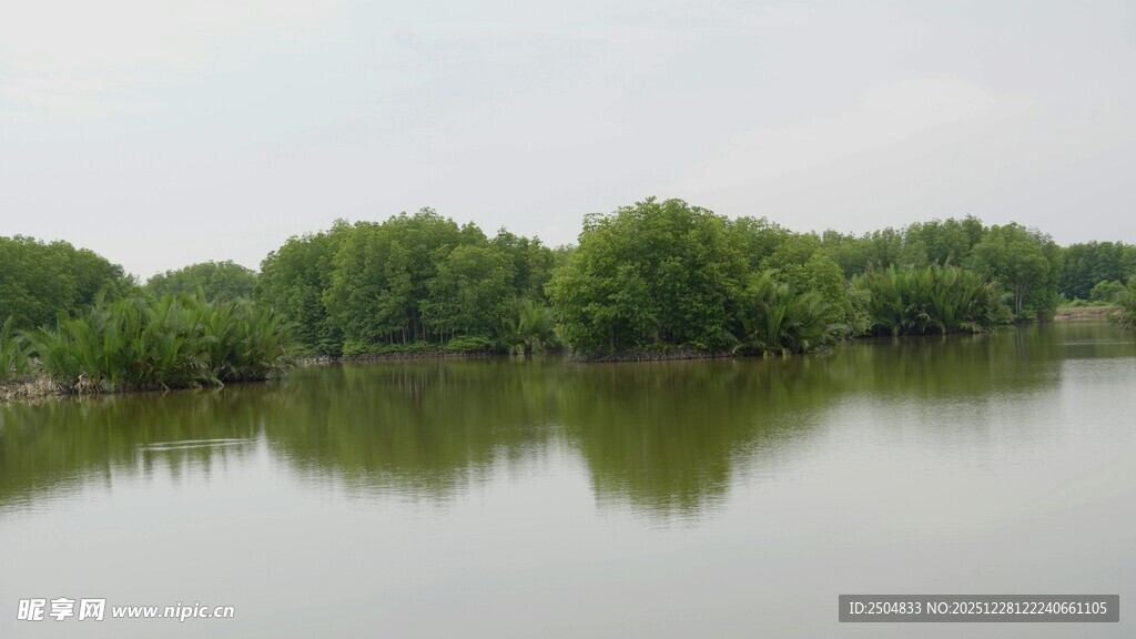 宁静湖面与岸边葱郁树林