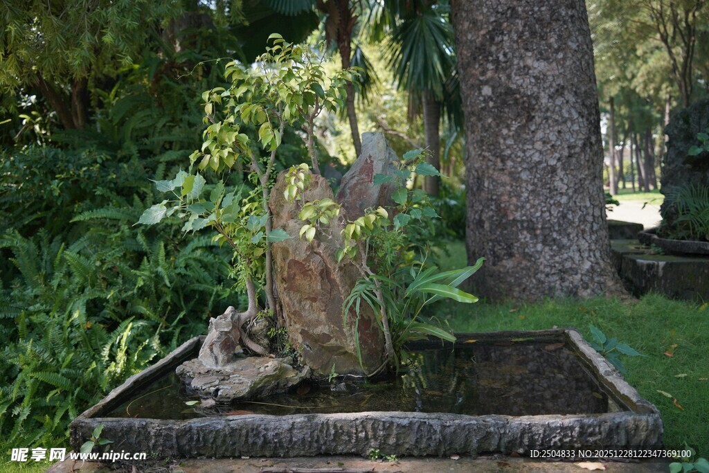 花园中的精美天使雕像