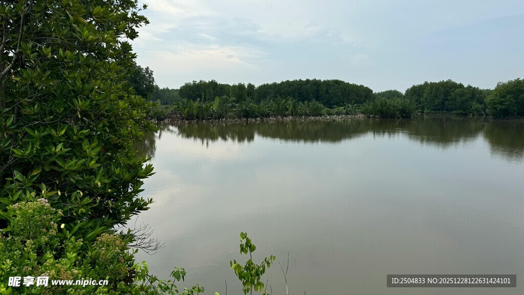 宁静河畔绿意环绕的风光