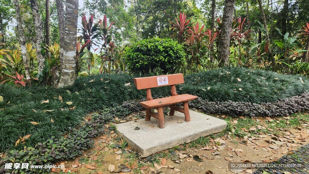 林间休闲长椅 静谧小景