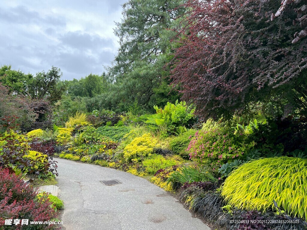 花园小径 多彩植物景观