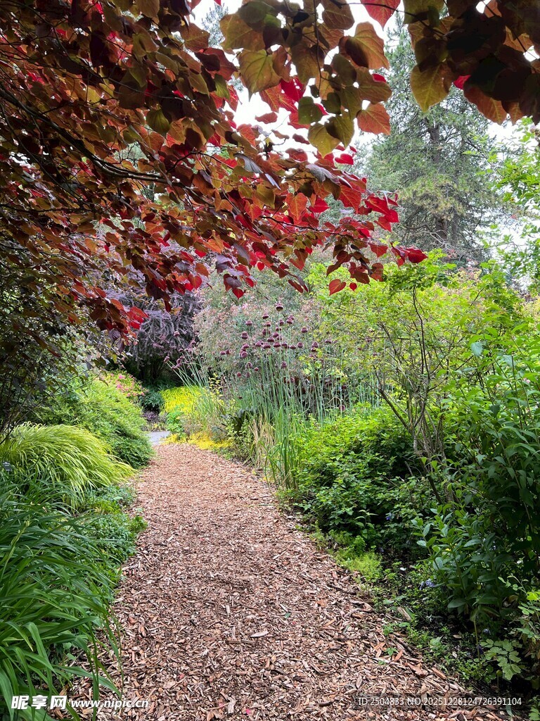 繁花小径 邂逅自然之美